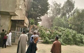 سقوط شجرة وعمود اناره