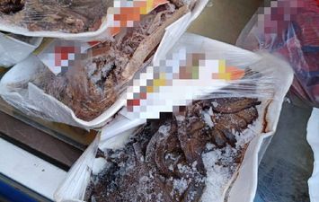 ضبوطات المنوفية 