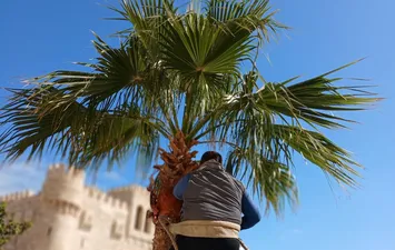 قلعة قايتباي