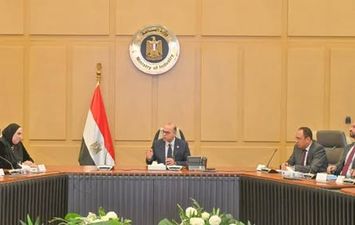 وزير الاستثمار 