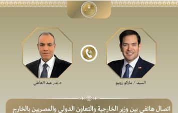 وزيرا الخارجية المصري والأمريكي