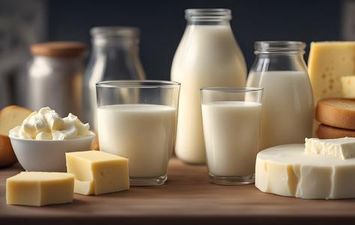 الالبان ومنتجاتها