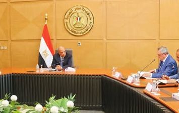 وزير الكهرباء  