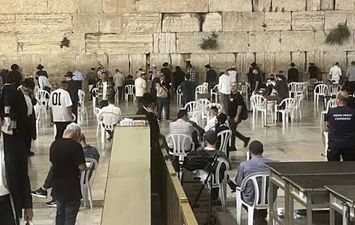 جانب من الفعاليات 