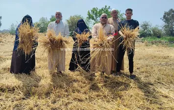 مزارعين الشرقيه