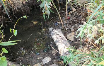 استغاثه مزارعي عزبة الورواري بالإسماعيلية 