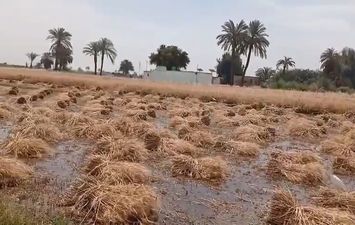 الاراضي الزراعيه 