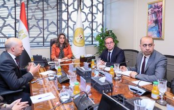 التنمية المحلية