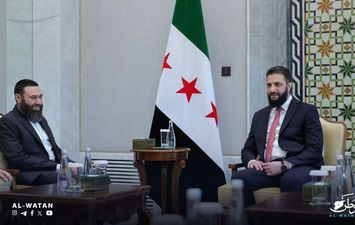 الشرع والبويضاني 