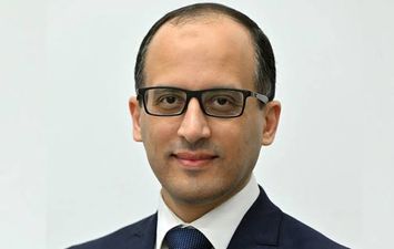 المستشار محمد الحمصاني