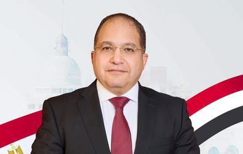  النائب عادل اللمعي