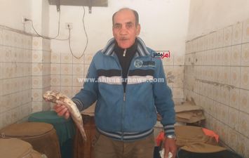 انتعاشة في سوق أسماك الملوحة بكفر الشيخ قبل شم النسيم 