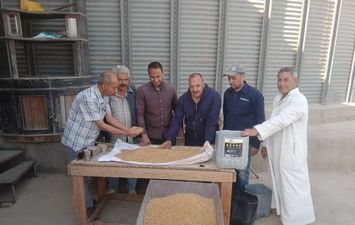 توريد القمح 