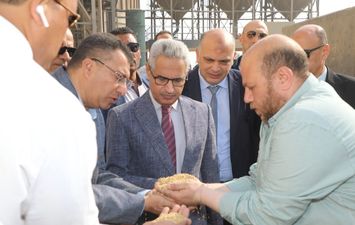 توريد القمح ببنى سويف 