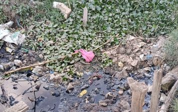 جانب من الاستغاثة 