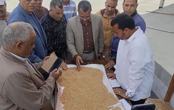 جانب من التوريد