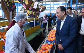 جانب من الجولة