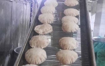 جانب من الحملة 