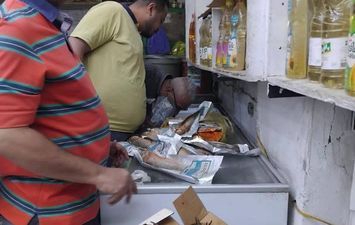 جانب من الحملة