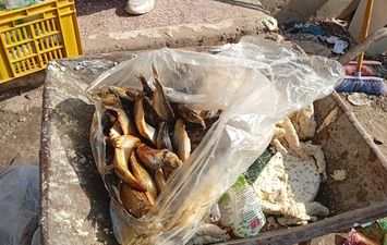 جانب من الضبطيات