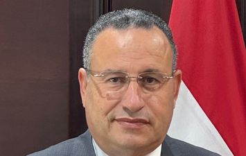 د. عبد العزيز قنصوة وزير التعليم العالي 