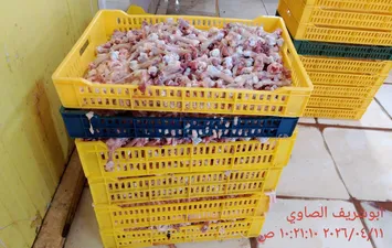 ضبوطات المنوفية 