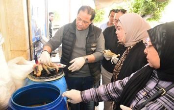 في شم النسيم&hellip; تموين بورسعيد :  ضبط 119 كيلو فسيخ  مجهول المصدر