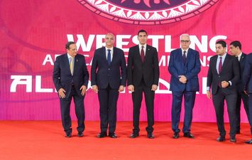 محافظ الإسكندرية 