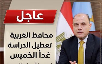 محافظ الغربية 