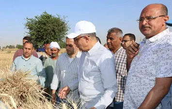 محافظ المنيا 