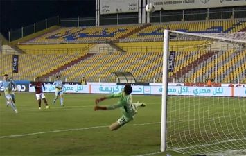 مصطفى شوبير