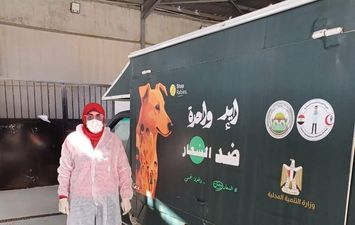  مكثفة للتعامل مع الكلاب الحره ونقلها إلى الشيلتر بعدد من المناطق  ببورسعيد 