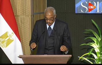 هشام طلعت مصطفى