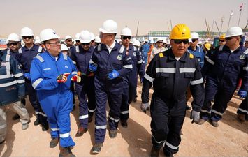 وزير البترول 