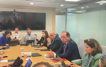 وزير المالية 