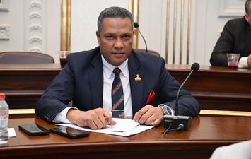 النائب محمد حمزة