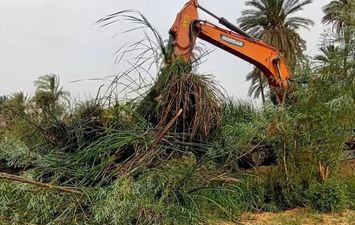 الفاعلية