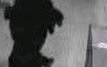 كاميرات المراقبة ترصد السيدة 