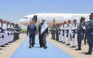 الرئيسان السيسي وبن زايد