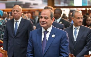 السيسي خلال قمة إفريقيا فرنسا