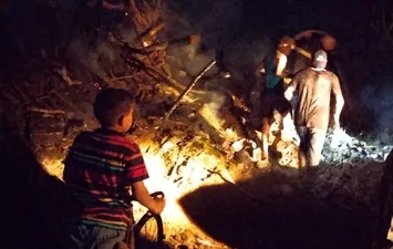 المنوفية 