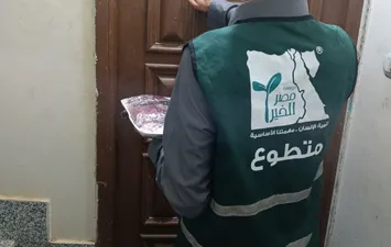 المنوفية 