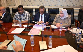 النائب محمد حمزة أمام تشريعية الشيوخ