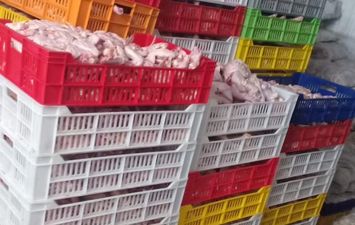  بورسعيد تُحكم قبضتها على المداخل.. إحباط محاولة تهريب طن و100 كجم دواجن فاسدة قبل تسللها للأسواق