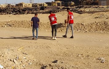 تحصين الكلاب الضاله