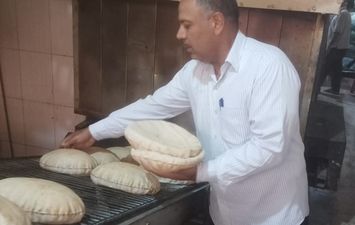 جانب من الحملة 