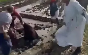 جانب من الواقعة 
