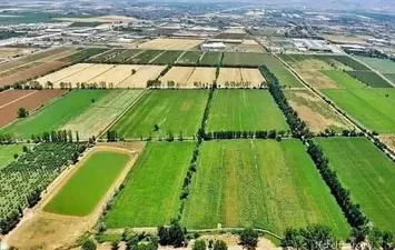 زراعة الفدان