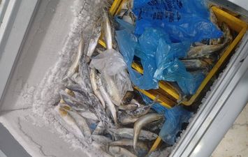 ضبوطات المنوفية 