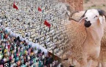 موعد إجازة عيد الأضحى